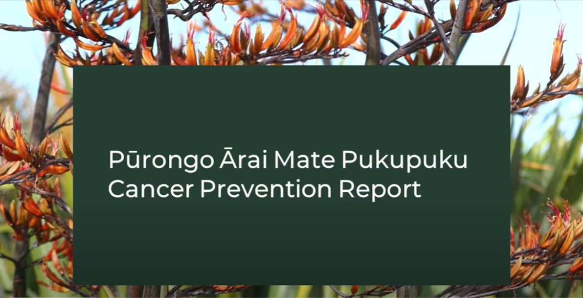 je bent Conform Buitengewoon Te Aho o Te Kahu - Cancer Prevention Report